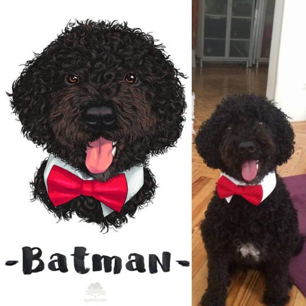 13310569_1723849791162329_6563090302302936329_n