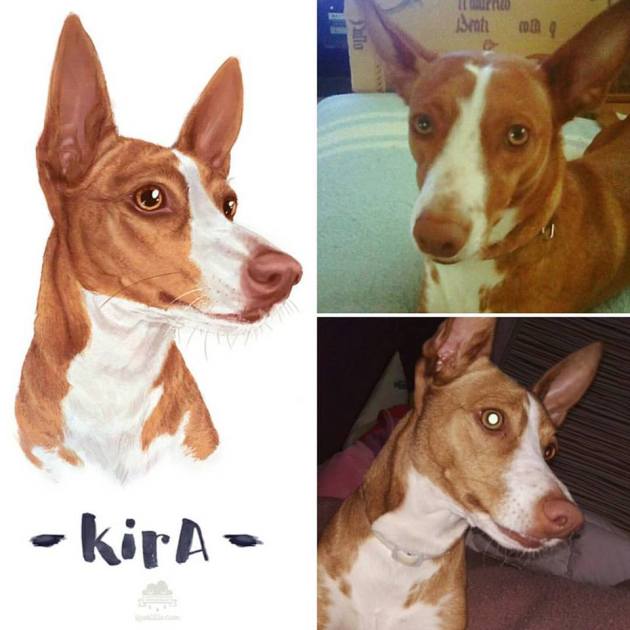 13332725_1724515241095784_1658133823938331171_n