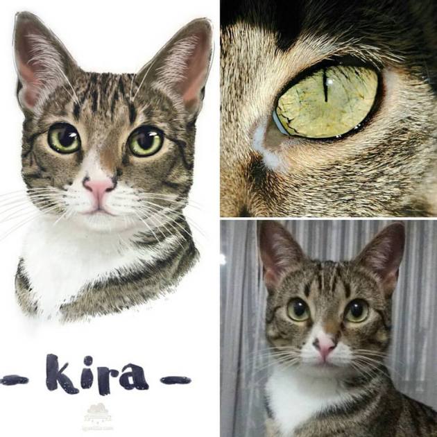 13339566_1726410320906276_4940981440525033285_n