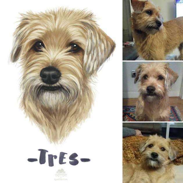 13419011_1728551650692143_8055091229364497002_n