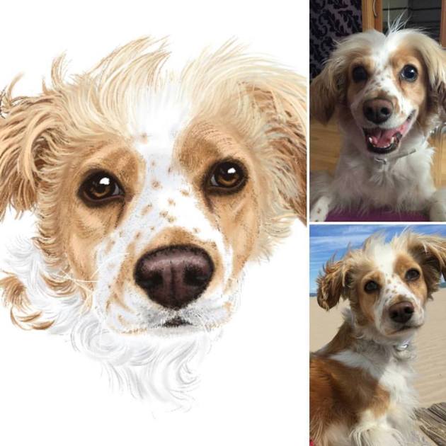 13427842_1727629404117701_4505738305391364355_n