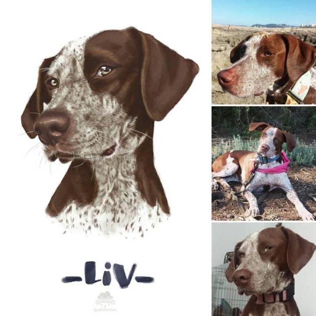 13450234_1730990373781604_3117013603589612537_n