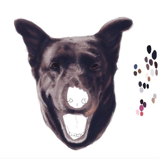 13592597_1735610486652926_4646363041474191456_n