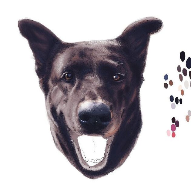 13620342_1735689773311664_5035741580295876827_n