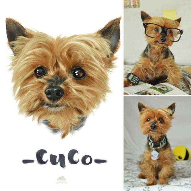 13631613_1743568819190426_1363297498487314053_n