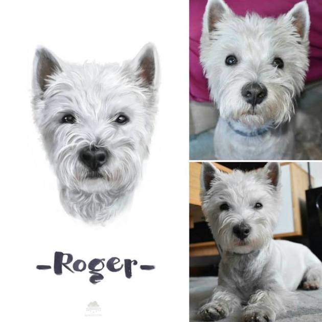 13879403_1746123632268278_1276566156904845964_n